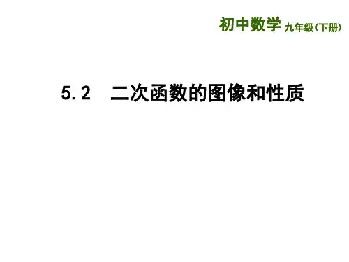 新苏科版九年级数学下册《5章 二次函数  5.2 二次函数的图像和性质  y=ax^2+k、y=a(x+m)^2的图像》课件_8