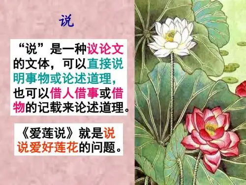 《爱莲说》中考复习PPT
