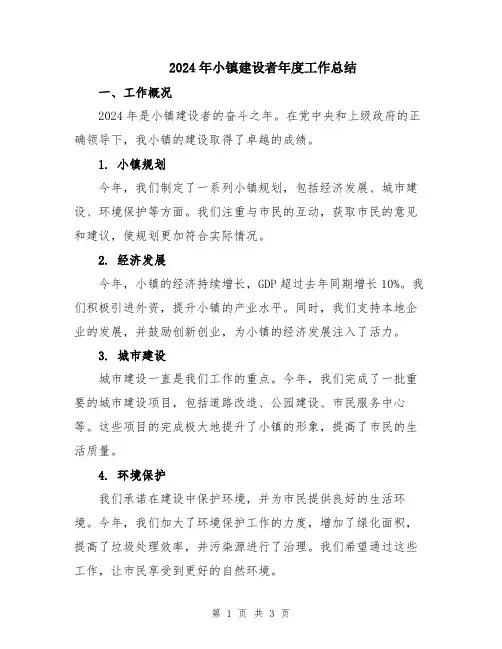 2024年小镇建设者年度工作总结
