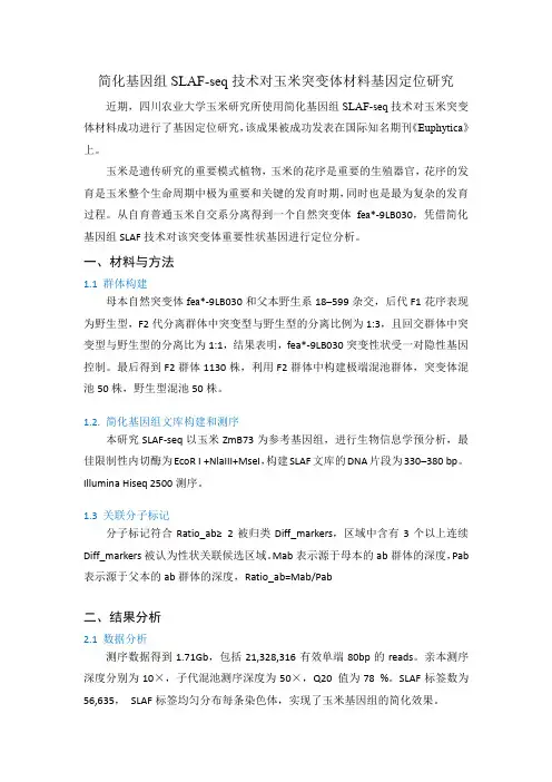 玉米花序分生组织组织基因定位