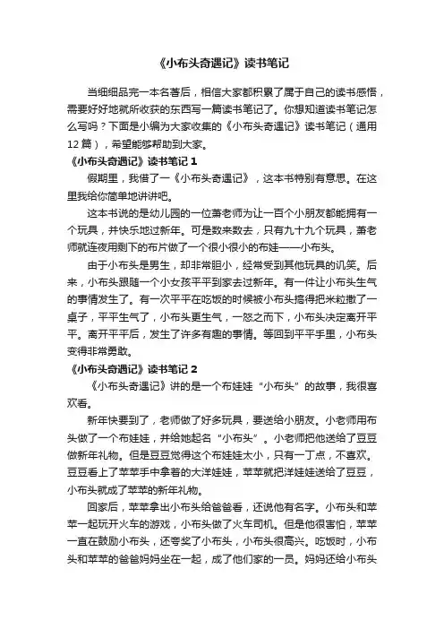 《小布头奇遇记》读书笔记（通用12篇）
