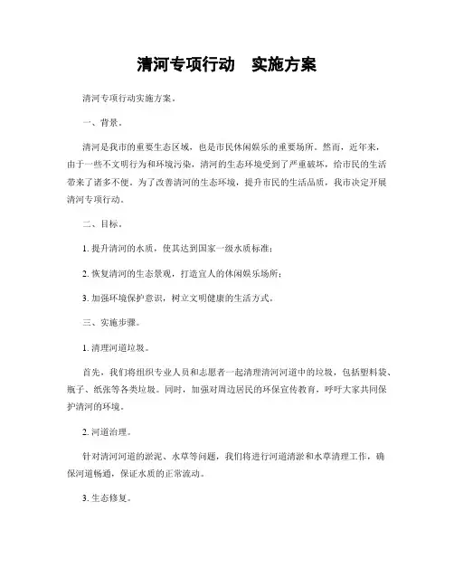 清河专项行动  实施方案