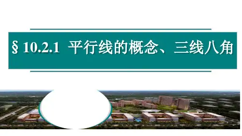 10.2.1 平行线的概念、三线八角