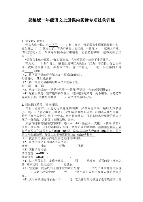 小学一年级语文上册课内阅读专项过关训练·部编版(人教)