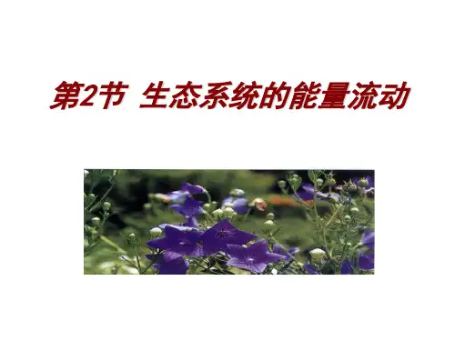 生态系统的能量流动 (完美版)