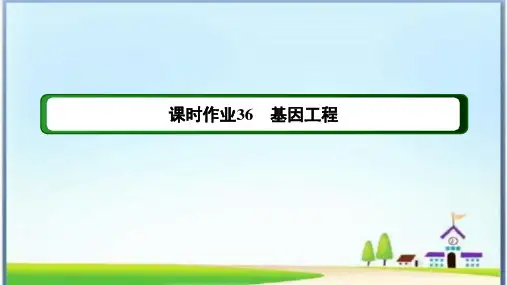 课时作业36 基因工程(含答案详解)