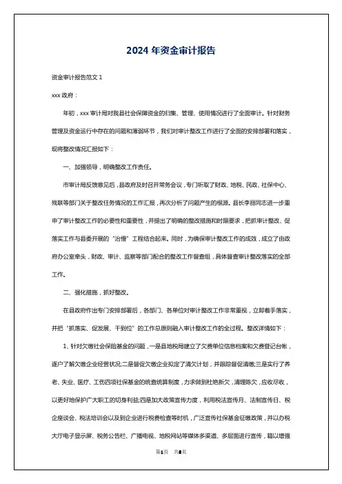 2024年资金审计报告