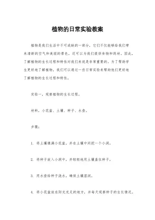植物的日常实验教案