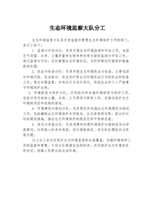 生态环境 监察 大队分工