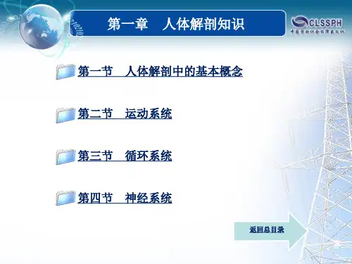 第一章 人体解剖知识