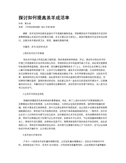 探讨如何提高羔羊成活率