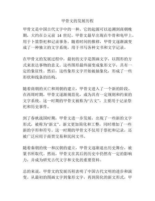 甲骨文的发展历程