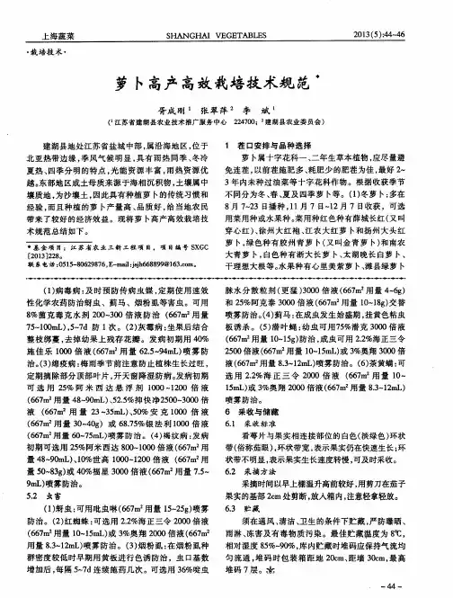 萝卜高产高效栽培技术规范