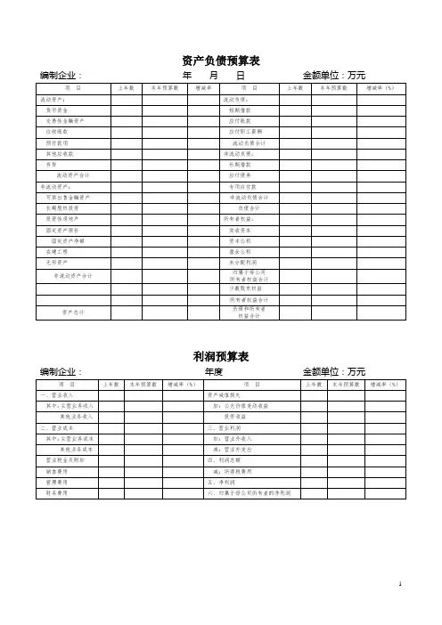 资产负债预算表