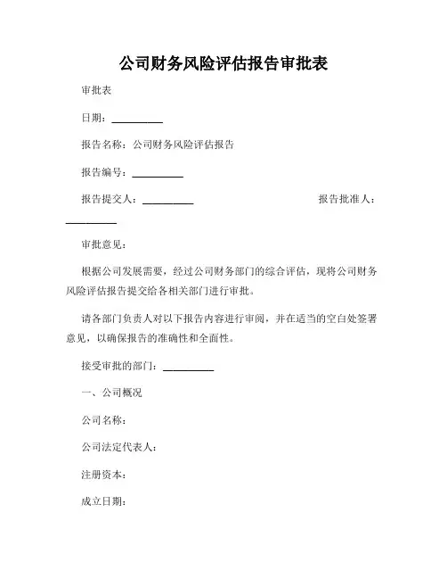公司财务风险评估报告审批表