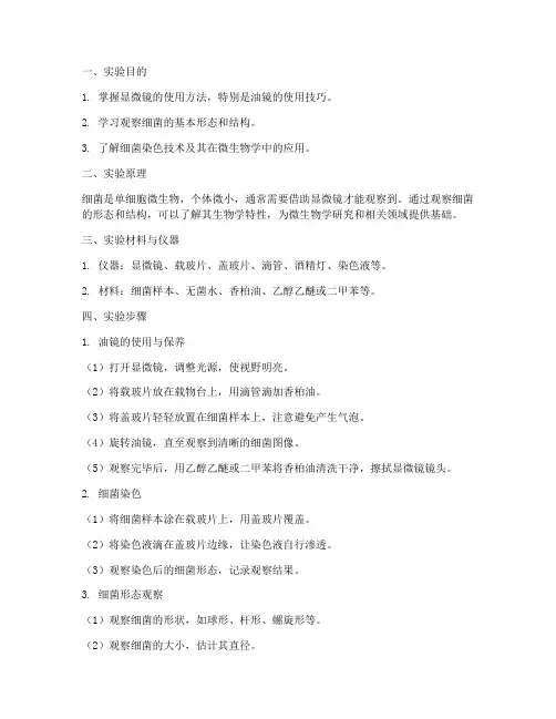 显微镜细菌观察实训报告