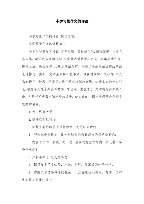 小学写景作文的评语