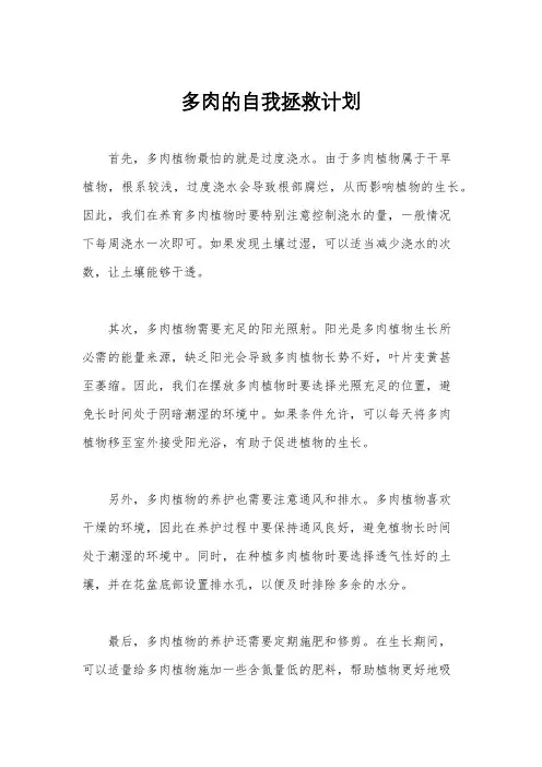 多肉的自我拯救计划