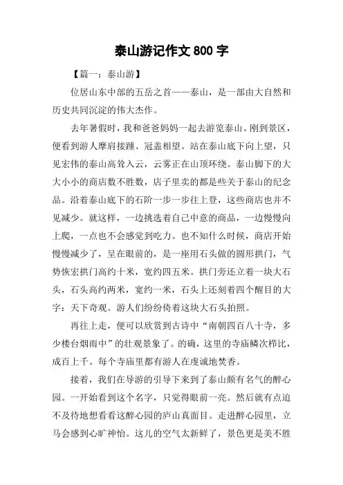 泰山游记作文800字