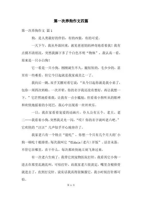 第一次养狗作文四篇