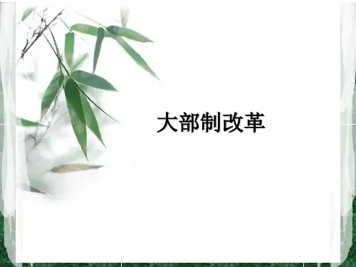 大部制改革资料