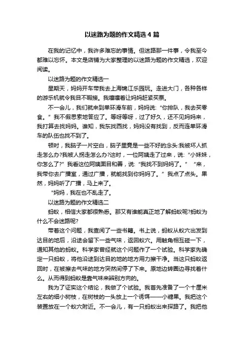 以迷路为题的作文精选4篇