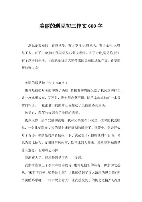 (初三作文)美丽的遇见初三作文600字