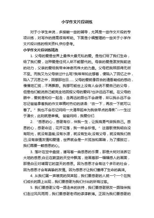 小学作文片段训练