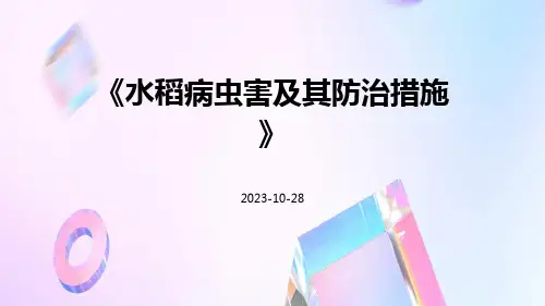 水稻病虫害及其防治措施(ppt69页)
