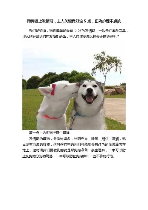 狗狗遇上发情期，主人关键做好这5点，正确护理不尴尬