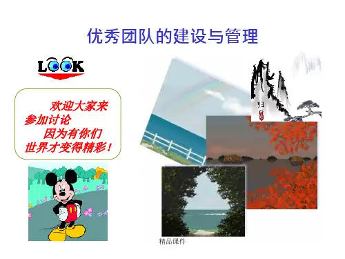 团队管理PPT(精编课件).ppt