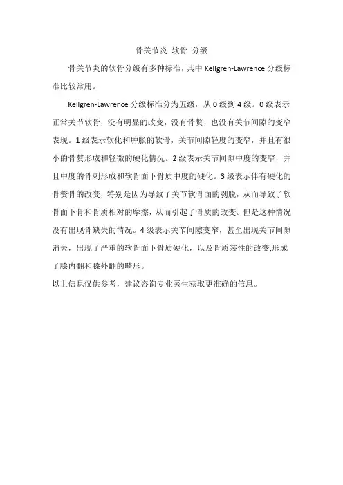 骨关节炎 软骨 分级