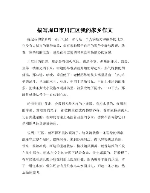 描写周口市川汇区我的家乡作文