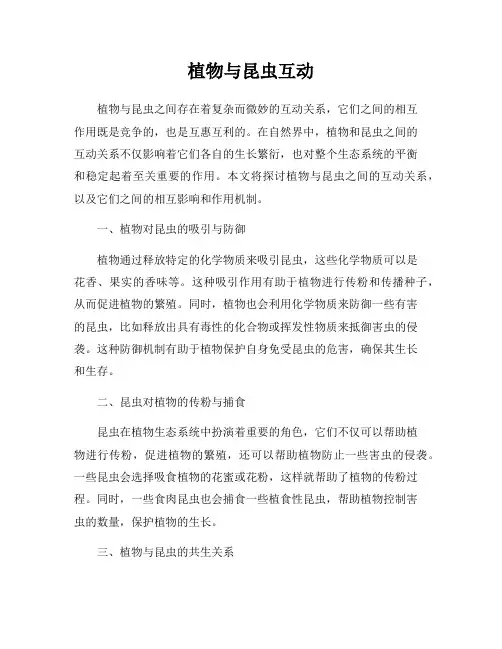 植物与昆虫互动