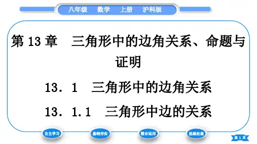 沪科版八年级数学上第13章三角形中的边角关系、命题与证明13
