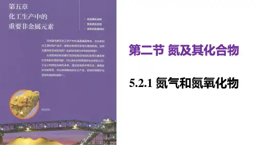 氮及其化合物ppt课件