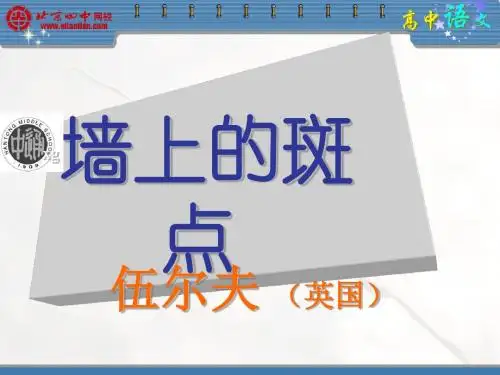 墙上的斑点