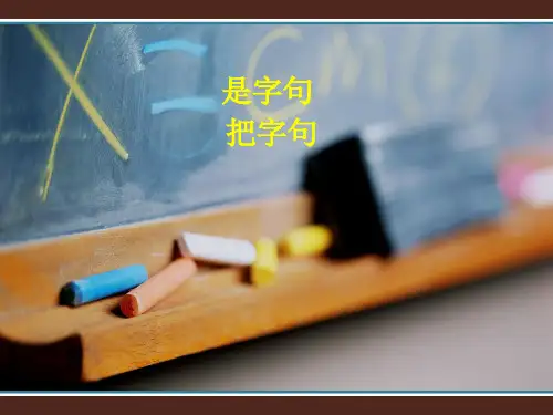 对外汉语教学是字句把字句