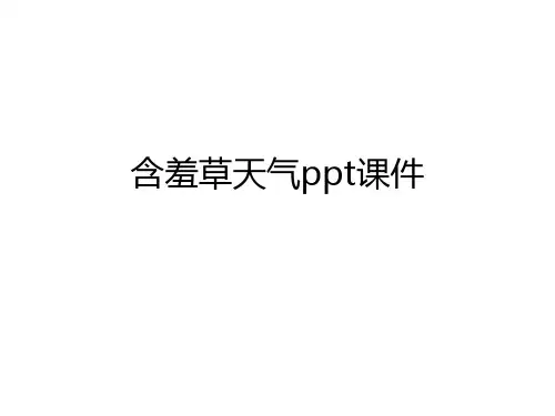 含羞草天气ppt课件