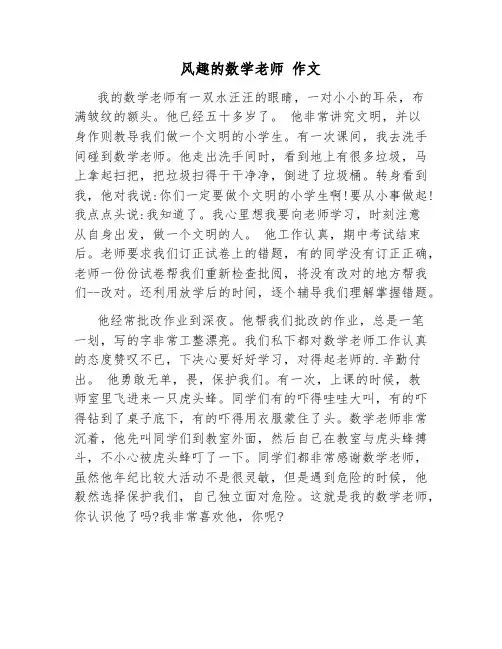 风趣的数学老师 作文