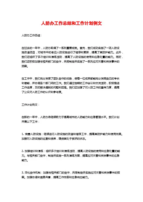 人防办工作总结和工作计划例文 (2)