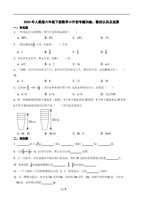 2024年人教版六年级下册数学小升初专题训练：数的认识及运算(含答案)