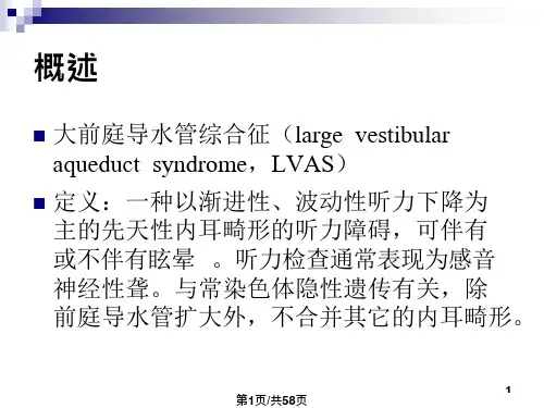 大前庭导水管综合征影像诊断课件
