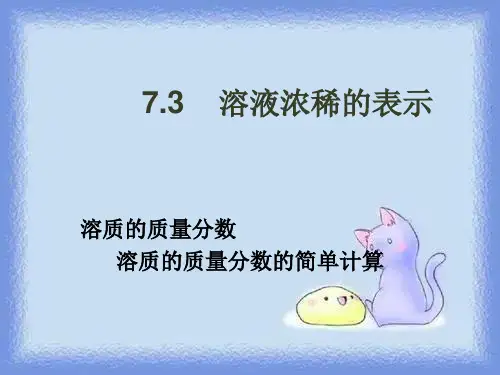 化学九年《溶液浓稀的表示》教学课件