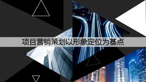 01项目形象定位概述