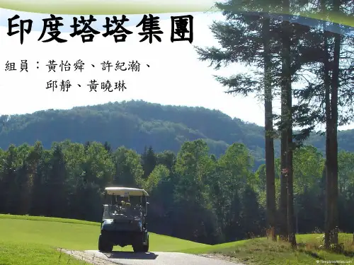 印度塔塔集团