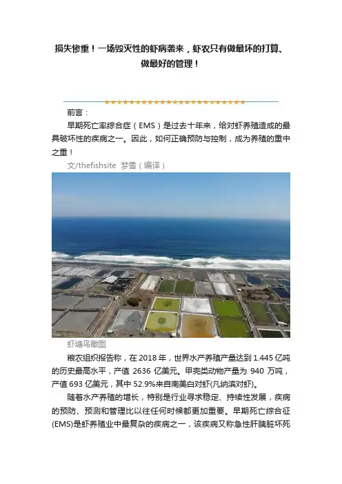 损失惨重！一场毁灭性的虾病袭来，虾农只有做最坏的打算、做最好的管理！