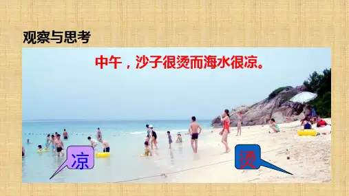探究——物质的比热容        九年级物理全一册