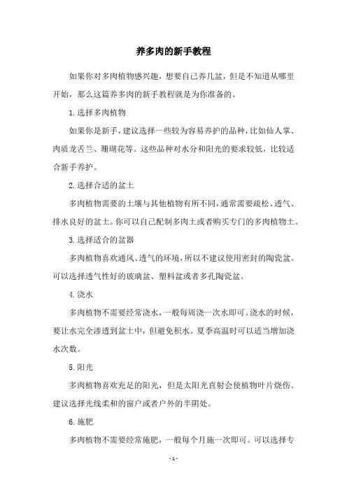 养多肉的新手教程