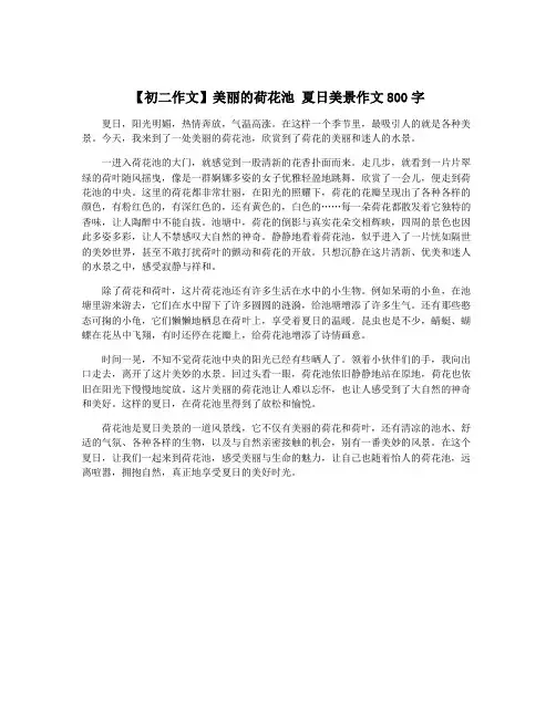 【初二作文】美丽的荷花池 夏日美景作文800字